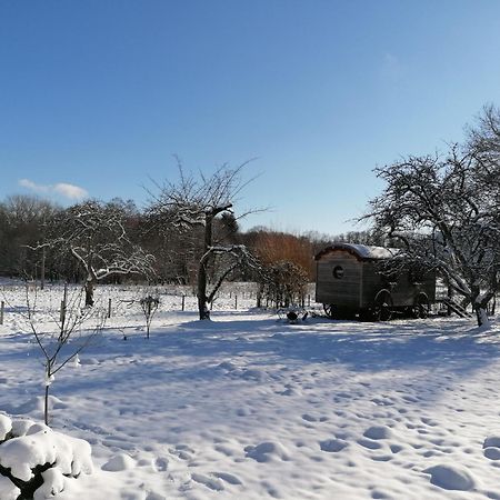 Roulotte Le Temps De Rever Bed and Breakfast Saint-Michel-sur-Meurthe Exteriör bild